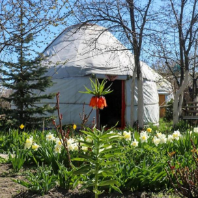 Yurt In My Garden Karakol
